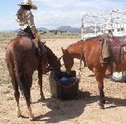 Camping with horses can be fun and easy -- automatic waterer is helpful.   Portable colic cure kits are essential!